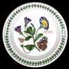 Trailing Bindweed - Original Bread And Butter Plate Flower Before 1994 (Green Number)