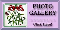 Mistletoe Photo Gallery