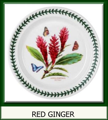 Botanic Garden Exotic - Red Ginger