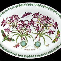 Portmeirion Botanic Garden Platter Oval 15 Inch DBL MEXICAN LILY