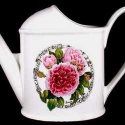 Portmeirion Millennium Rose WATERING CAN Ltd Edition NEW