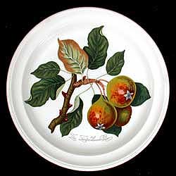 Portmeirion Pomona Salad Plate TEINTON SQUASH PEAR