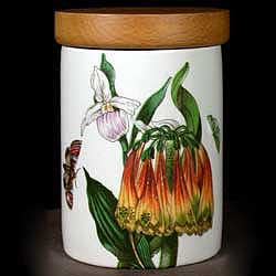 Portmeirion Botanic Garden Spice Jar ORANGE CACTUS NO Crazing