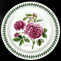 Portmeirion Botanic Garden ROSES Dinner Plate PORTMEIRION ROSE
