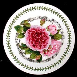Portmeirion Millennium Rose Plate 9 Inch - Boxed - Goes With BG!