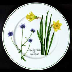 SOLD Welsh Wildflowers Salad Plate 8.5 Inch SEABCIUS