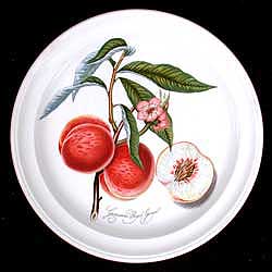 SOLD Pomona Dinner Plate GRIMWOODS PEACH A