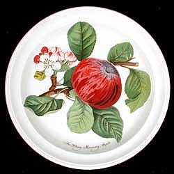 Portmeirion Pomona Salad Plate HOARY MORNING APPLE