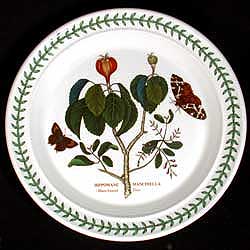 Portmeirion Botanic Garden Dinner Plate MANCHINEEL TREE - Minty