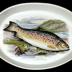Portmeirion Compleat Angler Baking Dish 14 Inch GILLAROO TROUT