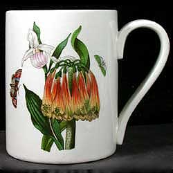 Portmeirion Botanic Garden Strap Handle Mug 12oz ORANGE CACTUS